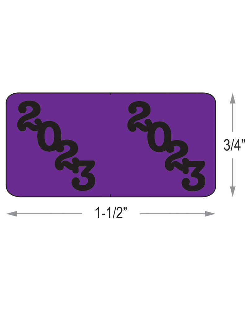 Image of 2023yb Purple Large